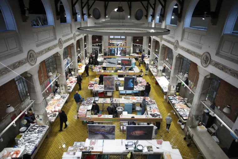 Ponuda riba na Veliki petak nikad veća, a kupaca nikad manje: Pogledajte ove cijene