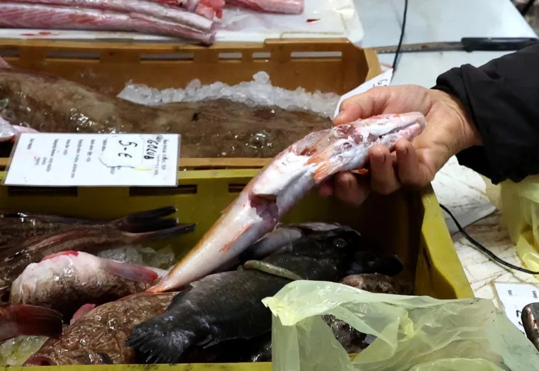 Ponuda riba na Veliki petak nikad veća, a kupaca nikad manje: Pogledajte ove cijene