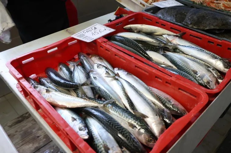 Ponuda riba na Veliki petak nikad veća, a kupaca nikad manje: Pogledajte ove cijene