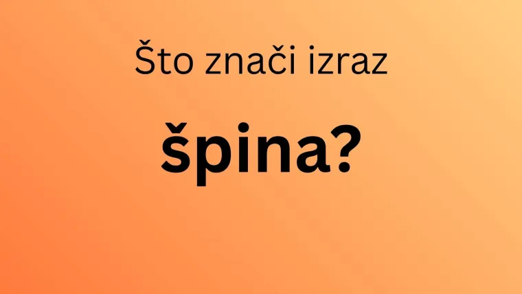 Razumijete li ove dalmatinske izraze? Pomalo, nije pri&scaron;a, samo neka su odgovori u sridu