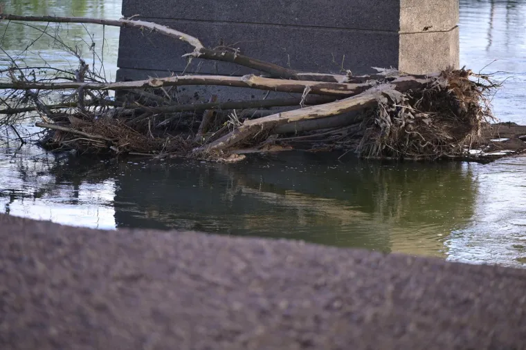 Policija potvrdila: Lubanja je izložbeni primjerak, ovo je mjesto gdje je pronađena