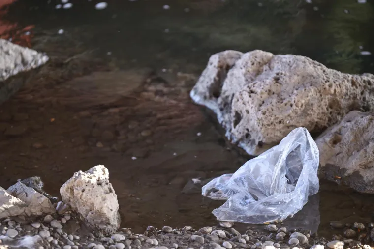Policija potvrdila: Lubanja je izložbeni primjerak, ovo je mjesto gdje je pronađena