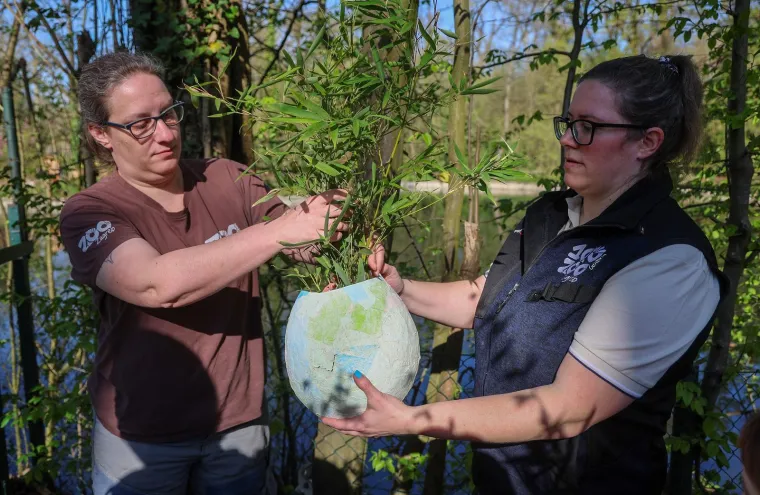 Pisanice su hit u zagrebačkom ZOO-u! Pogledajte kako ih tamane medvjedi, majmuni i ostala družina