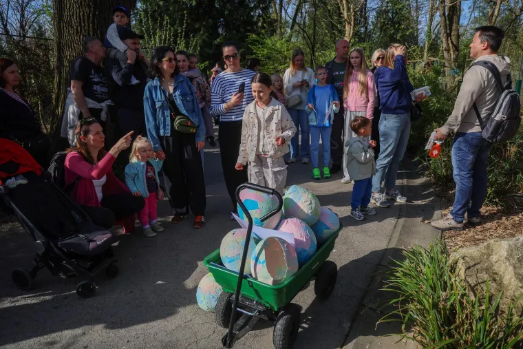 Pisanice su hit u zagrebačkom ZOO-u! Pogledajte kako ih tamane medvjedi, majmuni i ostala družina