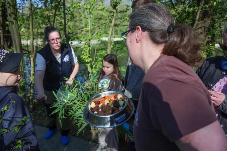 Pisanice su hit u zagrebačkom ZOO-u! Pogledajte kako ih tamane medvjedi, majmuni i ostala družina