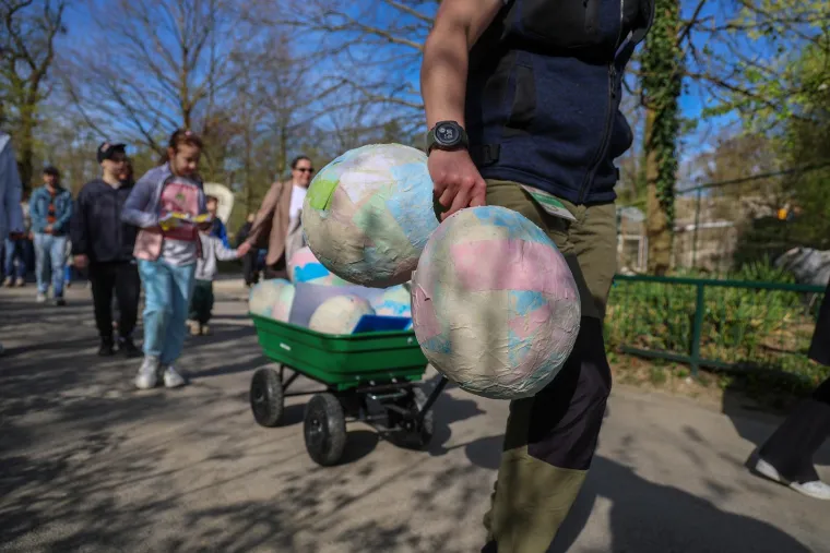 Pisanice su hit u zagrebačkom ZOO-u! Pogledajte kako ih tamane medvjedi, majmuni i ostala družina