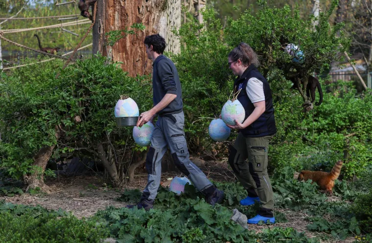 Pisanice su hit u zagrebačkom ZOO-u! Pogledajte kako ih tamane medvjedi, majmuni i ostala družina