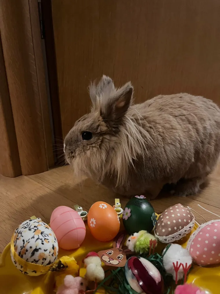 Topli i inteligentni: U moru čupavih u&scaron;iju i &scaron;apica, jedva smo izdvojili 40 fotografija