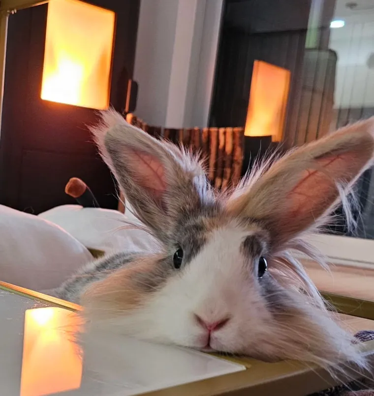 Topli i inteligentni: U moru čupavih u&scaron;iju i &scaron;apica, jedva smo izdvojili 40 fotografija