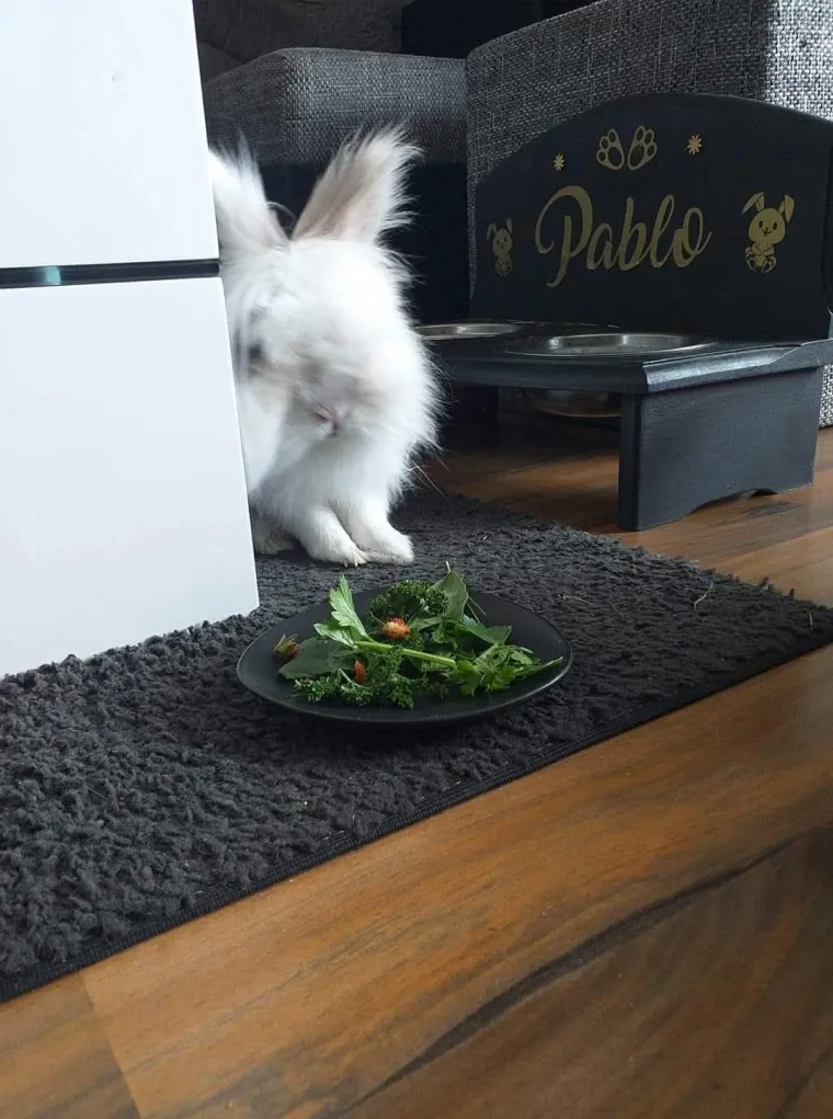 Topli i inteligentni: U moru čupavih u&scaron;iju i &scaron;apica, jedva smo izdvojili 40 fotografija