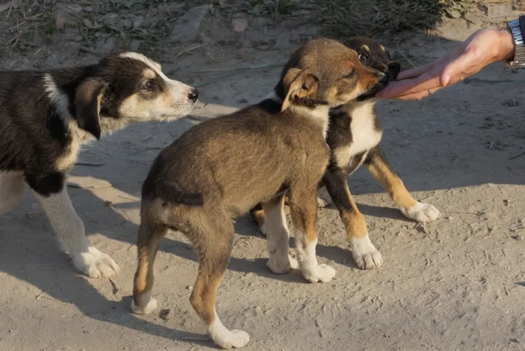 Ovo je 28 bizarnih razloga za razvod: Nećete vjerovati &scaron;to je sve razdvojilo parove