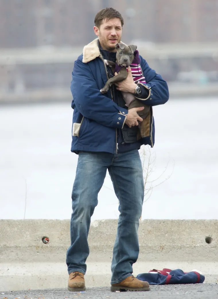Od istetoviranog ovisnika o cracku do najseksi mu&scaron;karca: Ovako se mijenjao Tom Hardy