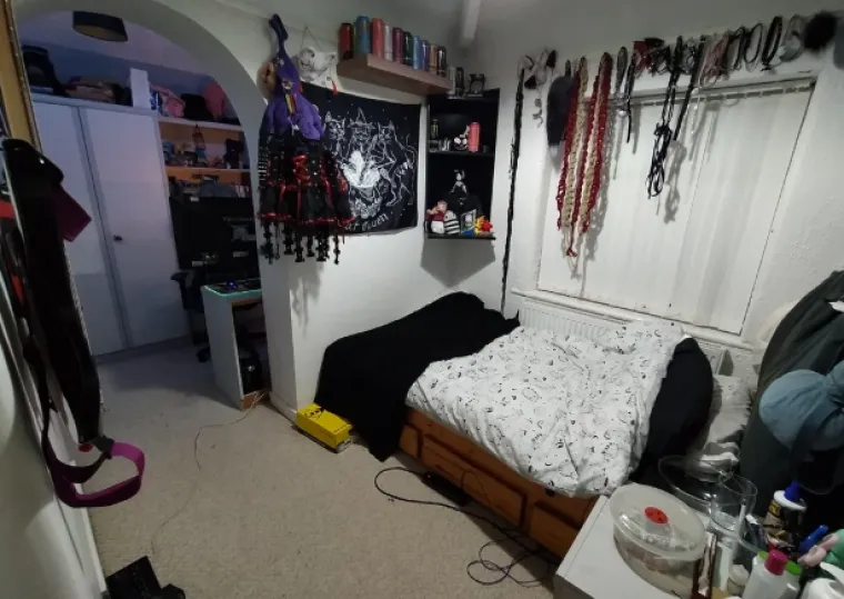 Godinama su živjeli u smeću i kaosu pa su zasukali rukave: Danas su im domovi kao iz snova