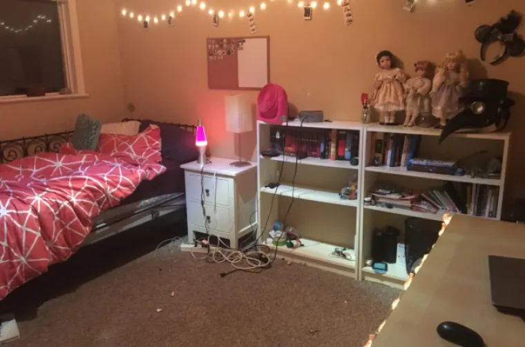 Godinama su živjeli u smeću i kaosu pa su zasukali rukave: Danas su im domovi kao iz snova