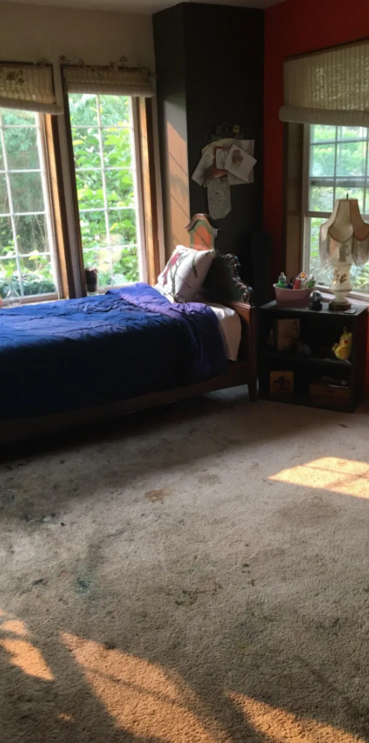 Godinama su živjeli u smeću i kaosu pa su zasukali rukave: Danas su im domovi kao iz snova