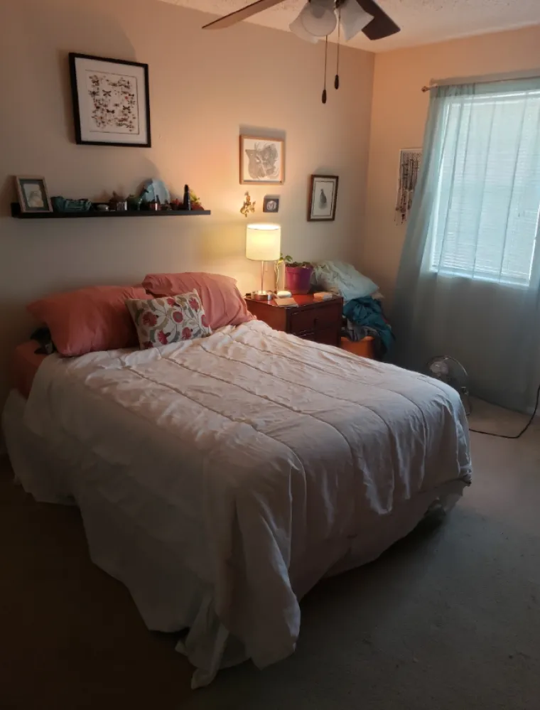 Godinama su živjeli u smeću i kaosu pa su zasukali rukave: Danas su im domovi kao iz snova