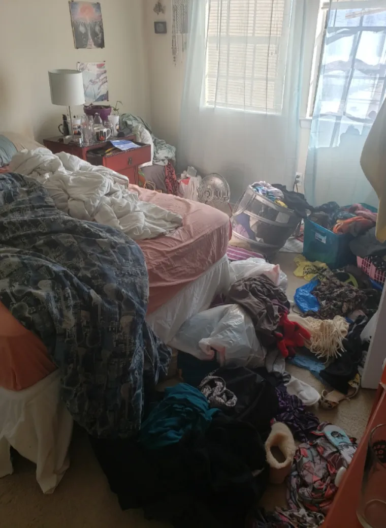 Godinama su živjeli u smeću i kaosu pa su zasukali rukave: Danas su im domovi kao iz snova