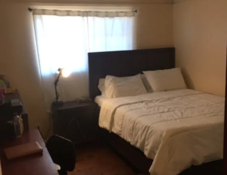 Godinama su živjeli u smeću i kaosu pa su zasukali rukave: Danas su im domovi kao iz snova