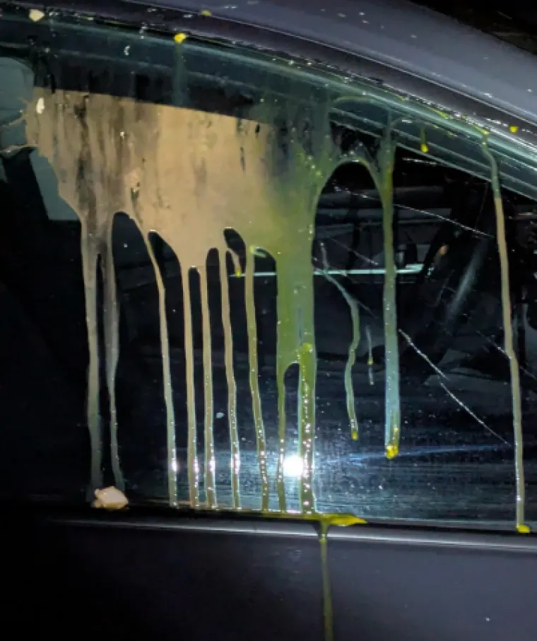 Bacaju im smeće, uni&scaron;tavaju imovinu: Ovi susjedi su pre&scaron;li svaku granicu, prizori su grozni