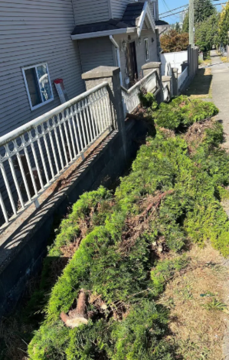 Bacaju im smeće, uni&scaron;tavaju imovinu: Ovi susjedi su pre&scaron;li svaku granicu, prizori su grozni