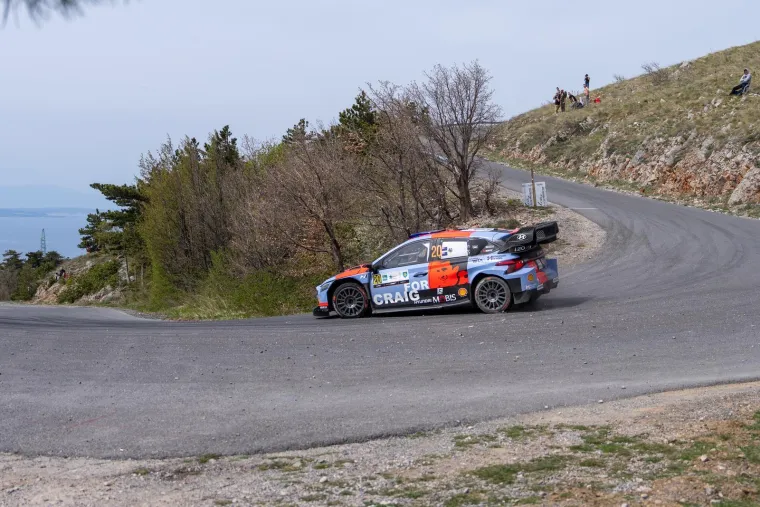 Na rallyju sve i sva&scaron;ta: I razne životinje na posljednjoj etapi koju je obilježila prava drama