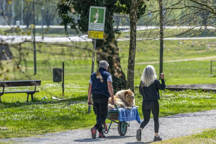 Dama u baloneru ukrala poglede na karlovačkoj &scaron;pici: Pogledajte tko se sve pro&scaron;etao gradom