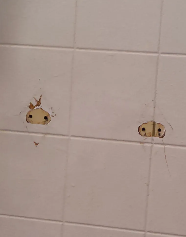 Kupili su kuće pa shvatili da su prevareni: Evo kakve &scaron;tete su im prouzrokovali kvarovi