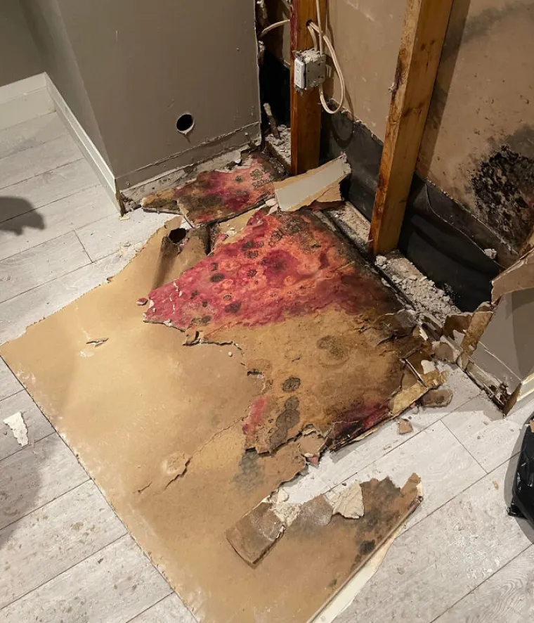 Kupili su kuće pa shvatili da su prevareni: Evo kakve &scaron;tete su im prouzrokovali kvarovi