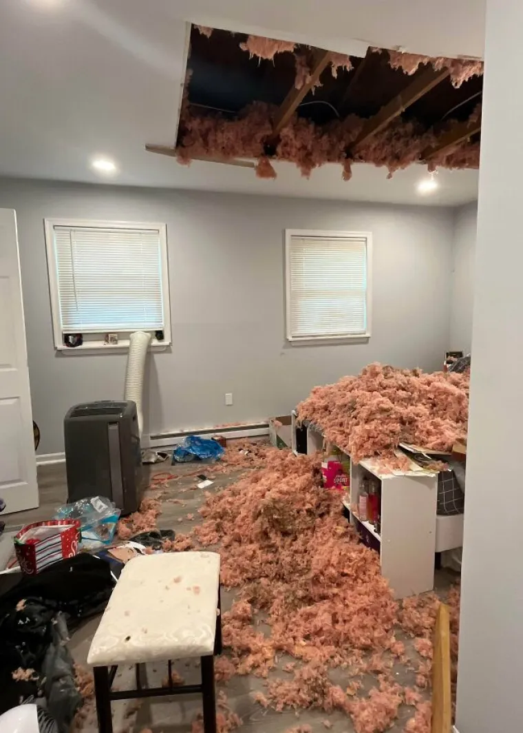 Kupili su kuće pa shvatili da su prevareni: Evo kakve &scaron;tete su im prouzrokovali kvarovi