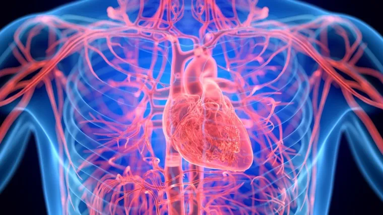 Budućnost će ovisiti o najhrabrijima: Dugotrajni boravak u svemiru ima 17 posljedica