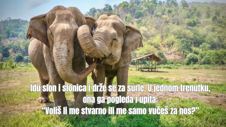 Izdvojili smo najurnebesnije viceve s interneta: Zbog njih ćete zajamčeno plakati od smijeha