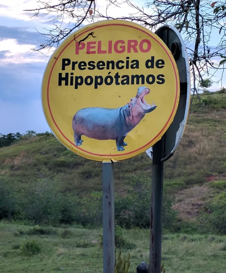 Kraj za 'kokainske nilske konje' Pabla Escobara: I oni, kao i gazda, samo stvaraju probleme