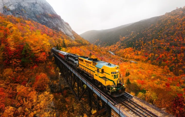 Rugamo se s Amerima da nemaju pojma o Europi i geografiji, dokažite da smo bolji od njih