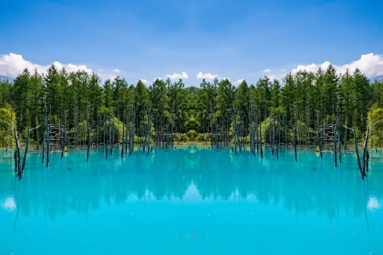 Priče o 14 svjetskih čuda koja pokazuju da ljepota može nastati na najneočekivanije načine