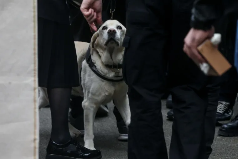 Na pogrebu Vujo&scaron;eviću i njegova labradorica: Potresni detalj pokazuje posebnu ljubav između njih