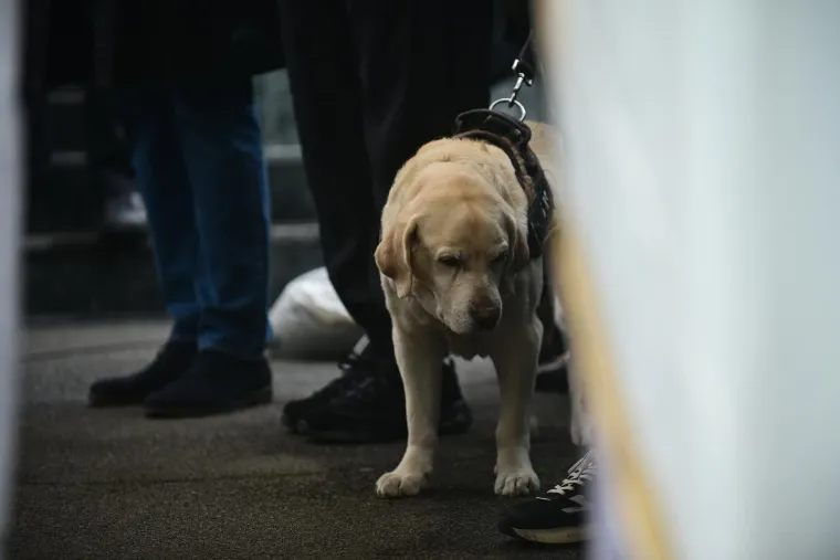 Na pogrebu Vujo&scaron;eviću i njegova labradorica: Potresni detalj pokazuje posebnu ljubav između njih