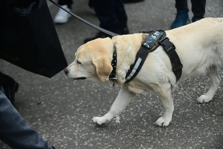 Na pogrebu Vujo&scaron;eviću i njegova labradorica: Potresni detalj pokazuje posebnu ljubav između njih