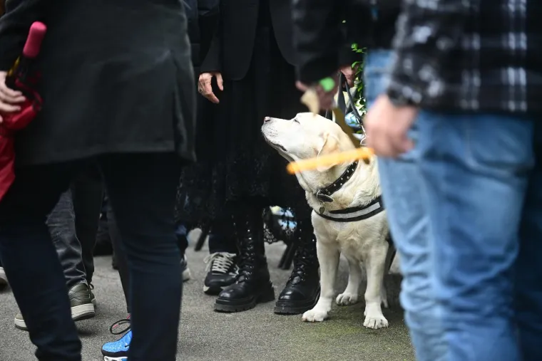 Na pogrebu Vujo&scaron;eviću i njegova labradorica: Potresni detalj pokazuje posebnu ljubav između njih
