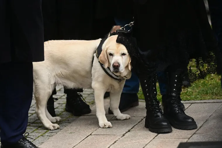 Na pogrebu Vujo&scaron;eviću i njegova labradorica: Potresni detalj pokazuje posebnu ljubav između njih