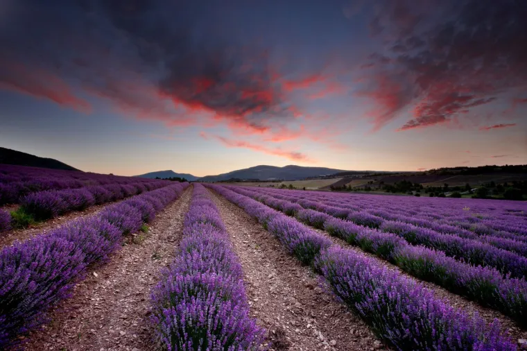 Ne znate kamo otići? Posjetite jedan od ovih očaravajućih europskih parkova i vrtova