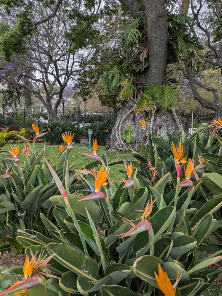 Ne znate kamo otići? Posjetite jedan od ovih očaravajućih europskih parkova i vrtova