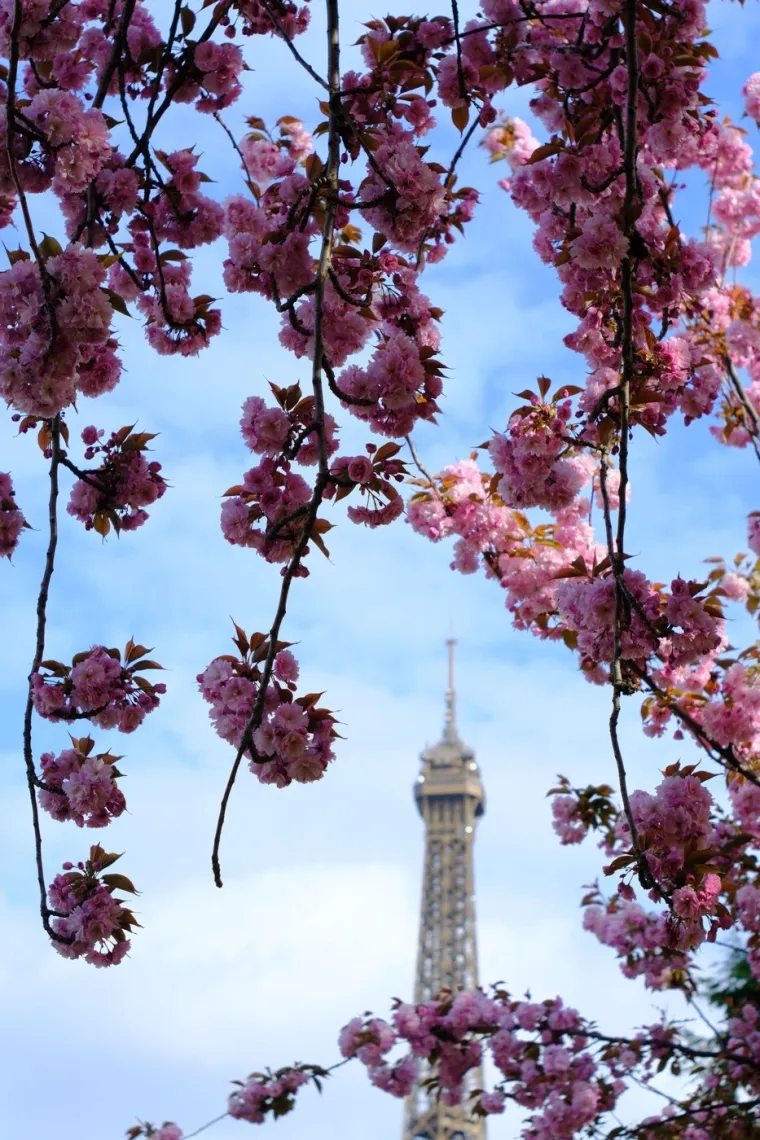 Ne znate kamo otići? Posjetite jedan od ovih očaravajućih europskih parkova i vrtova