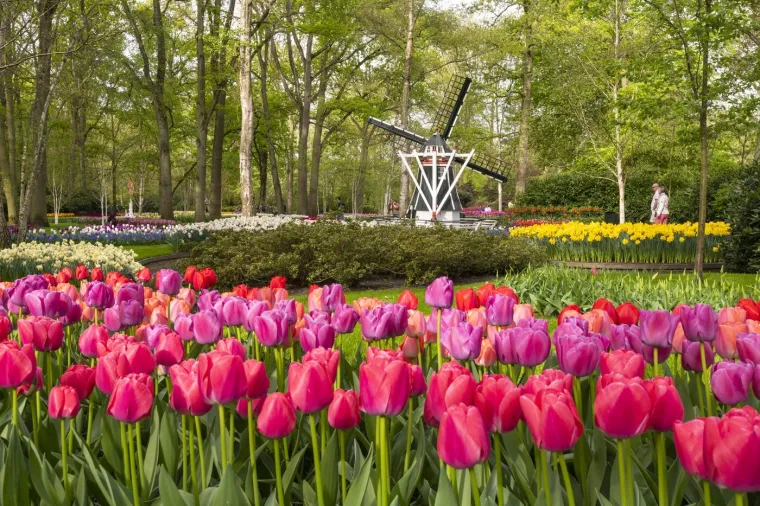 Ne znate kamo otići? Posjetite jedan od ovih očaravajućih europskih parkova i vrtova