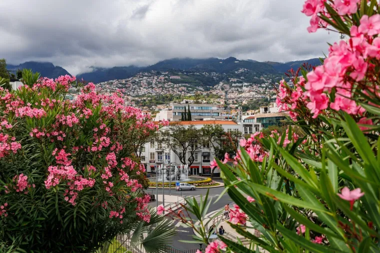 Ne znate kamo otići? Posjetite jedan od ovih očaravajućih europskih parkova i vrtova