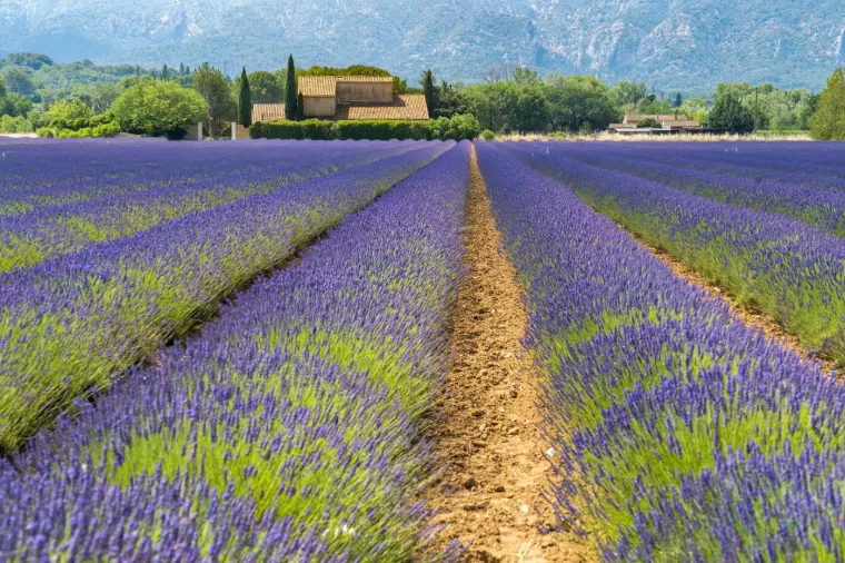 Ne znate kamo otići? Posjetite jedan od ovih očaravajućih europskih parkova i vrtova