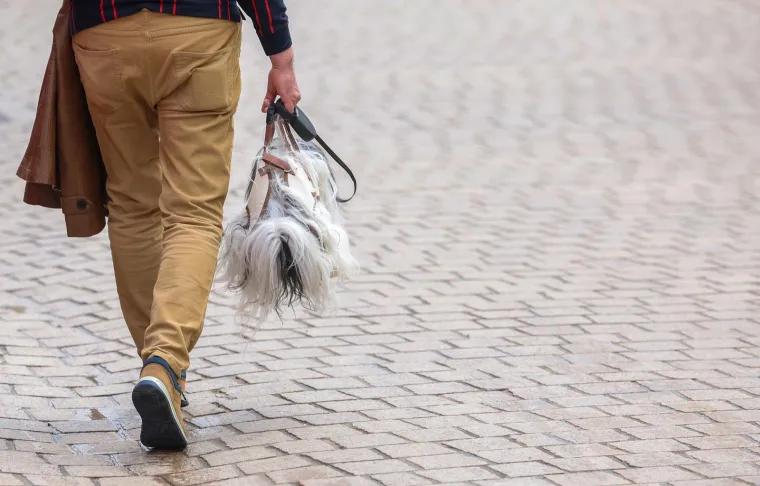 Prolaznici zastali i fotografirali 'modni dodatak': Pogledajte kako mu&scaron;karac nosi svog psa po Zagrebu