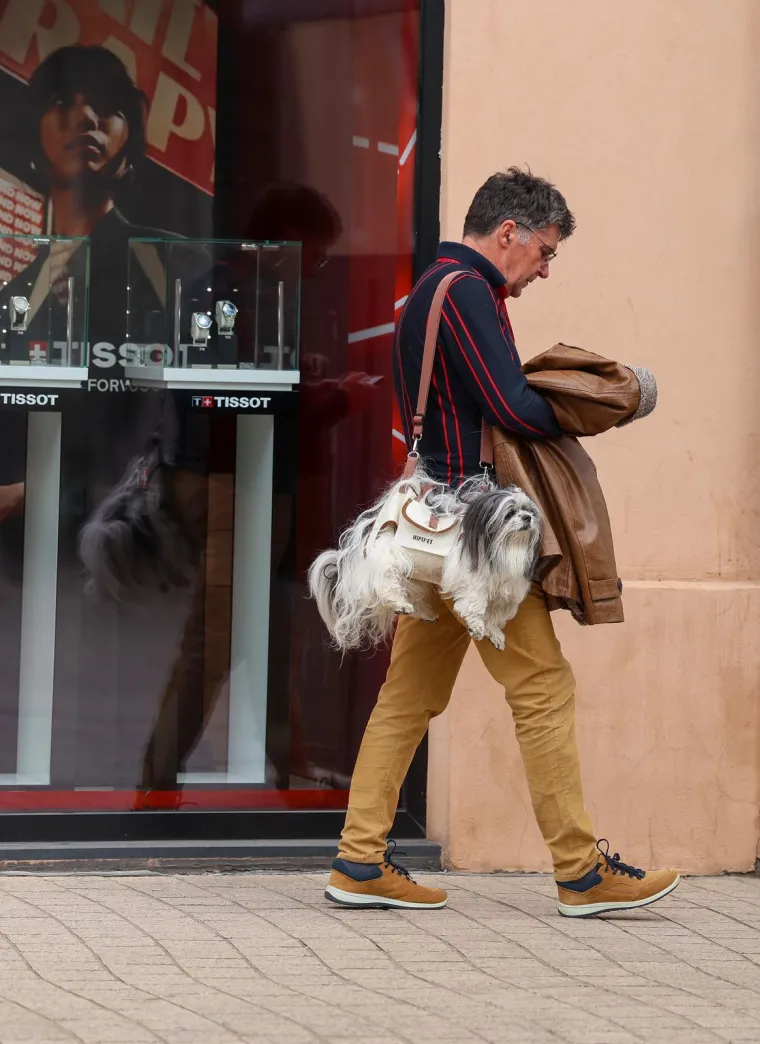 Prolaznici zastali i fotografirali 'modni dodatak': Pogledajte kako mu&scaron;karac nosi svog psa po Zagrebu