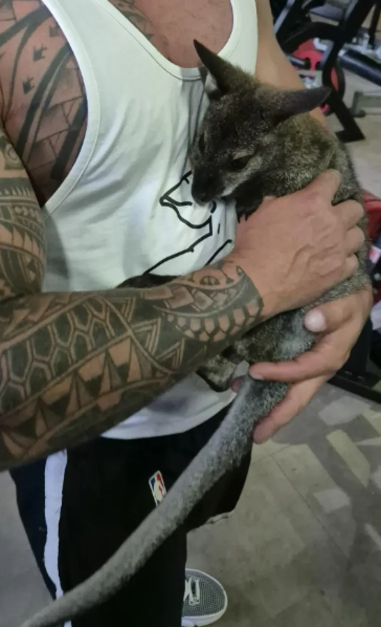 Ljudi nisu mogli vjerovati &scaron;to vide: Ovo su definitivno najbizarniji prizori iz teretana