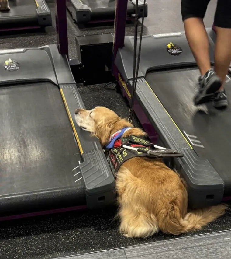 Ljudi nisu mogli vjerovati &scaron;to vide: Ovo su definitivno najbizarniji prizori iz teretana