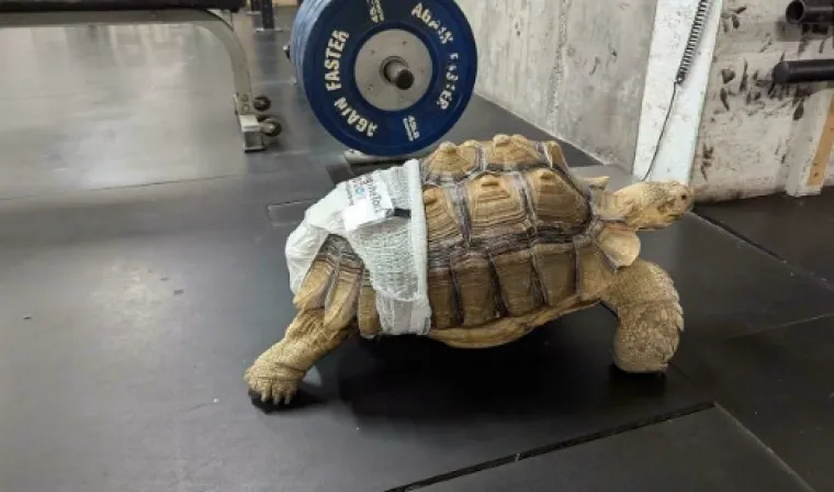 Ljudi nisu mogli vjerovati &scaron;to vide: Ovo su definitivno najbizarniji prizori iz teretana